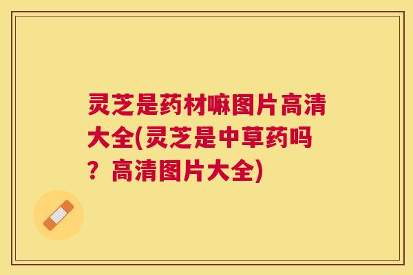 灵芝是药材嘛图片高清大全(灵芝是中草药吗？高清图片大全)