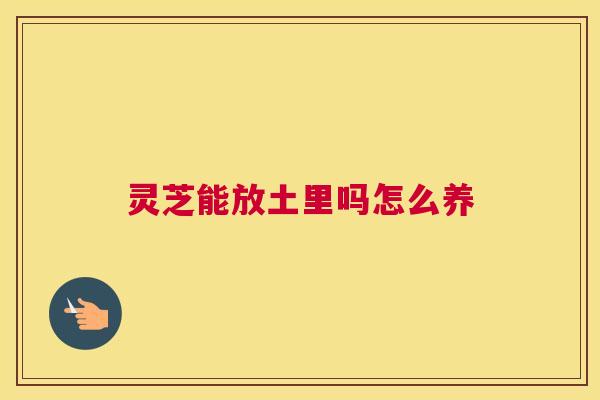 灵芝能放土里吗怎么养