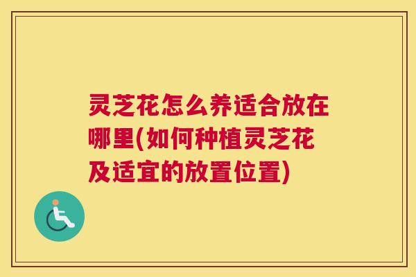 灵芝花怎么养适合放在哪里(如何种植灵芝花及适宜的放置位置)