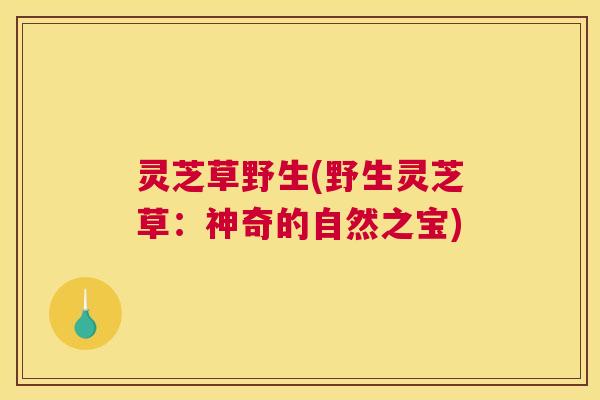 灵芝草野生(野生灵芝草：神奇的自然之宝)
