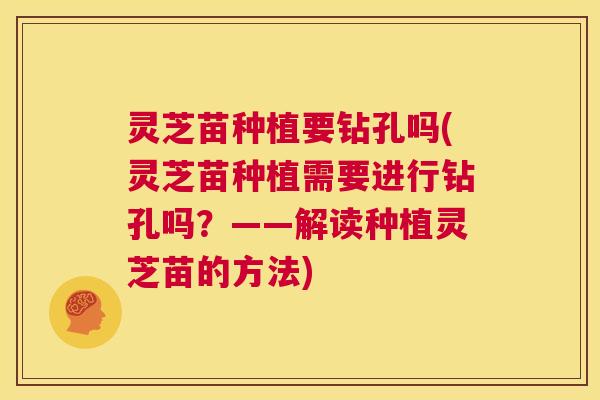 灵芝苗种植要钻孔吗(灵芝苗种植需要进行钻孔吗？——解读种植灵芝苗的方法)