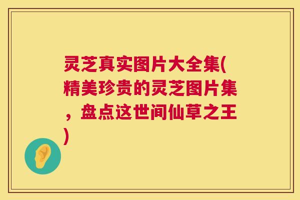 灵芝真实图片大全集(精美珍贵的灵芝图片集，盘点这世间仙草之王)