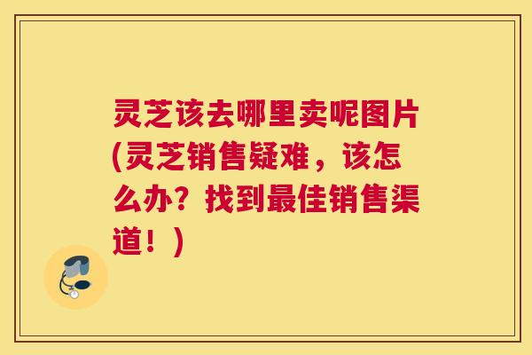灵芝该去哪里卖呢图片(灵芝销售疑难,该怎么办?找到佳销售渠道!) 灵芝该去哪里卖呢图片(灵芝销售疑难,该怎么办?找到佳销售渠道!)