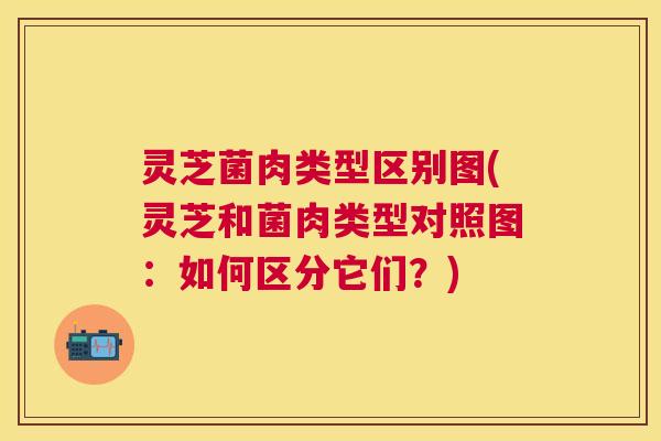 灵芝菌肉类型区别图(灵芝和菌肉类型对照图：如何区分它们？)
