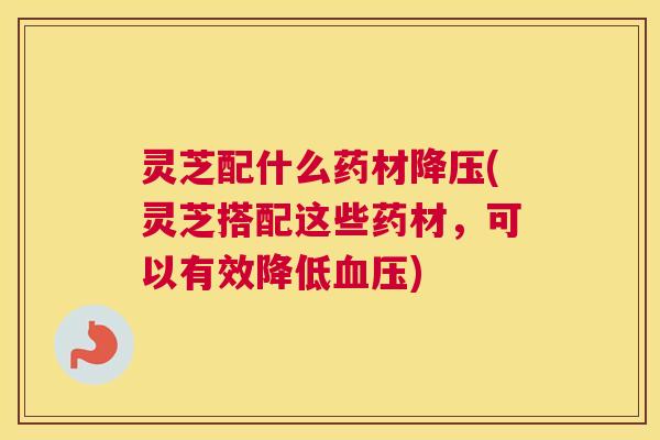 灵芝配什么药材降压(灵芝搭配这些药材，可以有效降低血压)