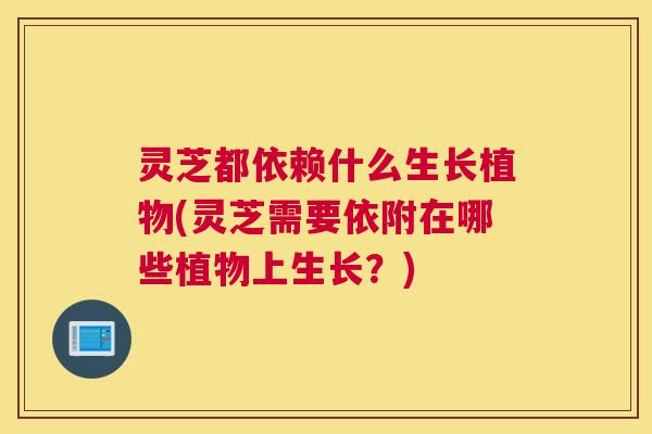灵芝都依赖什么生长植物(灵芝需要依附在哪些植物上生长？)