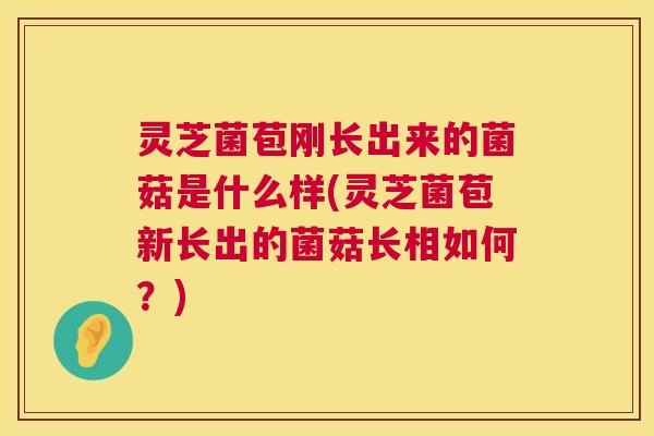 灵芝菌苞刚长出来的菌菇是什么样(灵芝菌苞新长出的菌菇长相如何?) 灵芝菌苞刚长出来的菌菇是什么样(灵芝菌苞新长出的菌菇长相如何?)