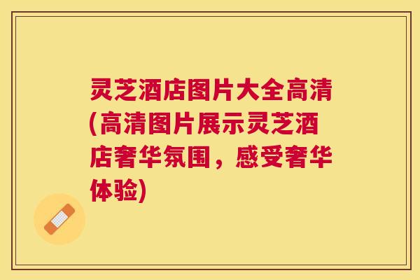 灵芝酒店图片大全高清(高清图片展示灵芝酒店奢华氛围，感受奢华体验)