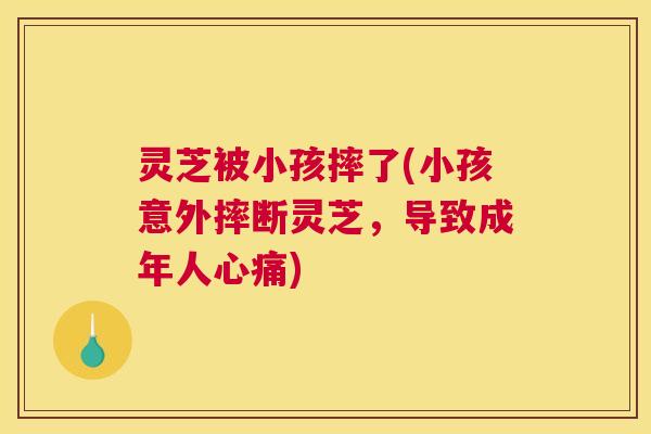 灵芝被小孩摔了(小孩意外摔断灵芝，导致成年人心痛)
