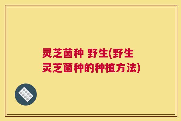 灵芝菌种 野生(野生灵芝菌种的种植方法)