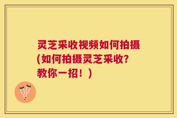 灵芝采收视频如何拍摄(如何拍摄灵芝采收？教你一招！)