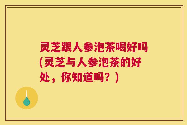 灵芝跟人参泡茶喝好吗(灵芝与人参泡茶的好处，你知道吗？)