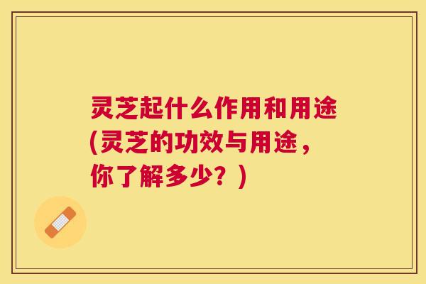 灵芝起什么作用和用途(灵芝的功效与用途，你了解多少？)