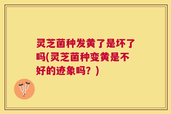 灵芝菌种发黄了是坏了吗(灵芝菌种变黄是不好的迹象吗？)