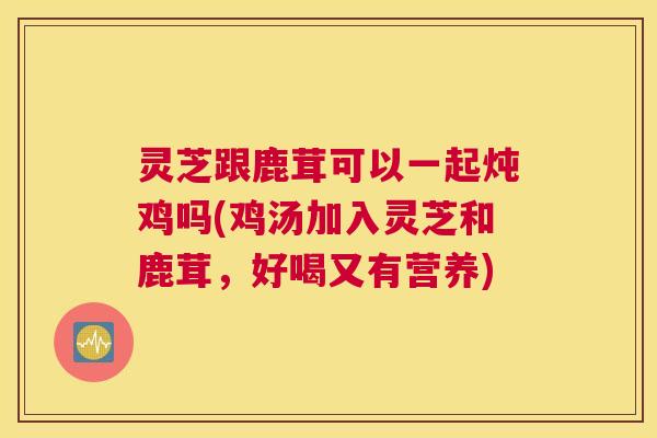 灵芝跟鹿茸可以一起炖鸡吗(鸡汤加入灵芝和鹿茸，好喝又有营养)