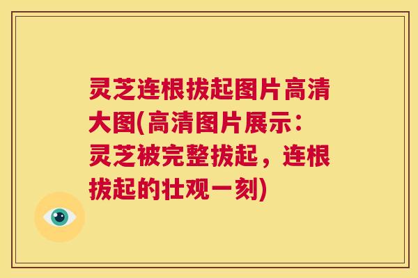 灵芝连根拔起图片高清大图(高清图片展示：灵芝被完整拔起，连根拔起的壮观一刻)
