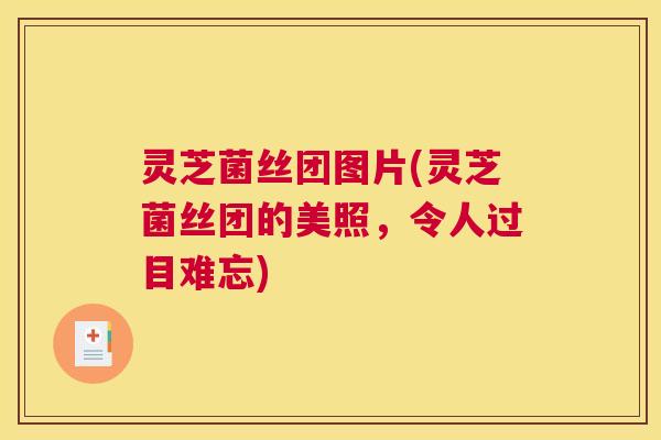 灵芝菌丝团图片(灵芝菌丝团的美照，令人过目难忘)