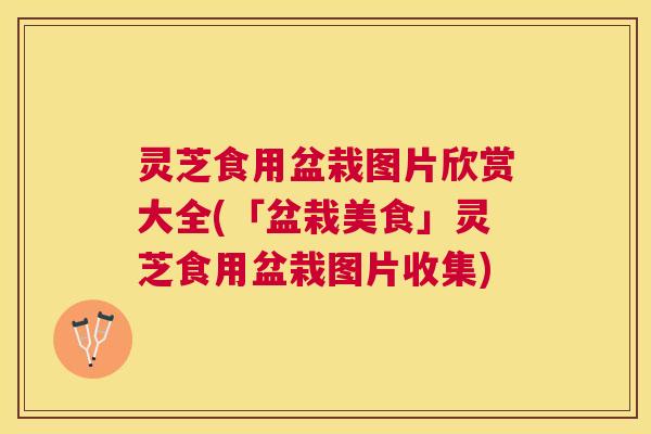 灵芝食用盆栽图片欣赏大全(「盆栽美食」灵芝食用盆栽图片收集)