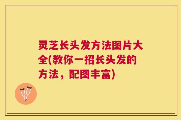 灵芝长头发方法图片大全(教你一招长头发的方法,配图丰富) 灵芝长头发方法图片大全(教你一招长头发的方法,配图丰富)