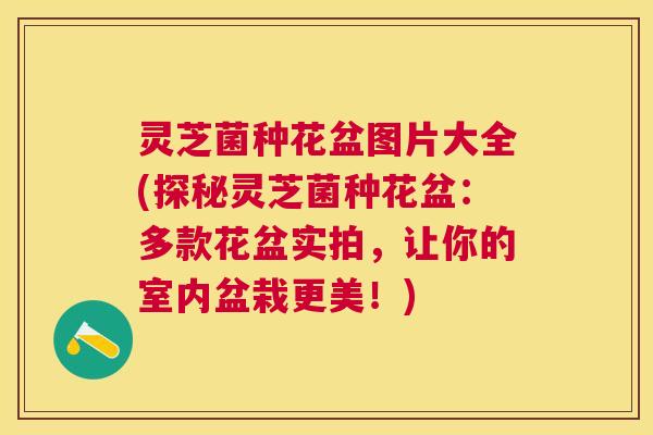 灵芝菌种花盆图片大全(探秘灵芝菌种花盆:多款花盆实拍,让你的室内盆栽更美!) 灵芝菌种花盆图片大全(探秘灵芝菌种花盆:多款花盆实拍,让你的室内盆栽更美!)