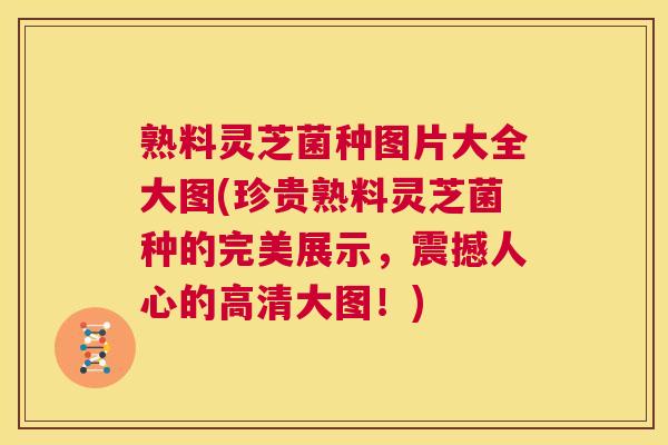 熟料灵芝菌种图片大全大图(珍贵熟料灵芝菌种的完美展示，震撼人心的高清大图！)
