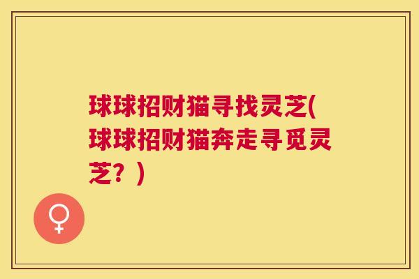 球球招财猫寻找灵芝(球球招财猫奔走寻觅灵芝？)
