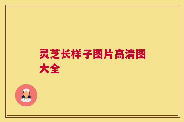 灵芝长样子图片高清图大全