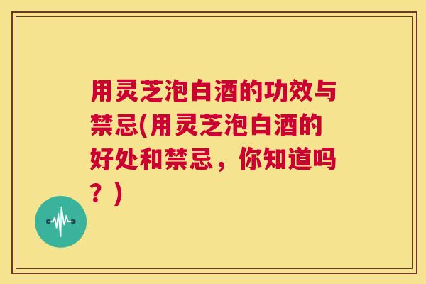 用灵芝泡白酒的功效与禁忌(用灵芝泡白酒的好处和禁忌,你知道吗?) 用灵芝泡白酒的功效与禁忌(用灵芝泡白酒的好处和禁忌,你知道吗?)