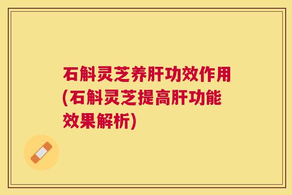 石斛灵芝养肝功效作用(石斛灵芝提高肝功能效果解析)