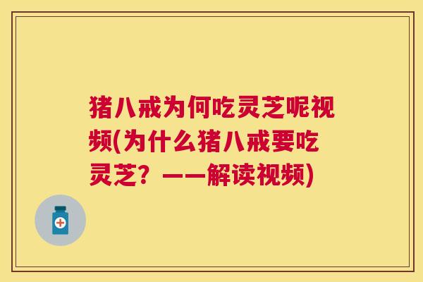 猪八戒为何吃灵芝呢视频(为什么猪八戒要吃灵芝?——解读视频) 猪八戒为何吃灵芝呢视频(为什么猪八戒要吃灵芝?——解读视频)
