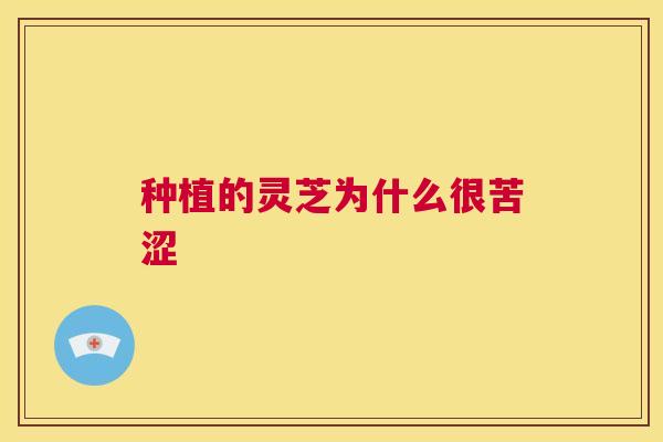 种植的灵芝为什么很苦涩