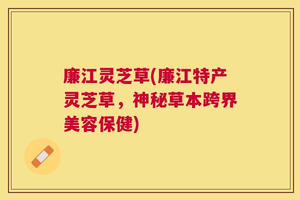 廉江灵芝草(廉江特产灵芝草,神秘草本跨界美容保健) 廉江灵芝草(廉江特产灵芝草,神秘草本跨界美容保健)