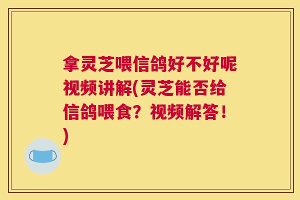 拿灵芝喂信鸽好不好呢视频讲解(灵芝能否给信鸽喂食？视频解答！)