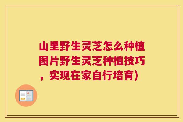 山里野生灵芝怎么种植图片野生灵芝种植技巧，实现在家自行培育)