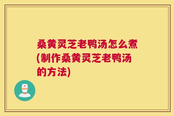 桑黄灵芝老鸭汤怎么煮(制作桑黄灵芝老鸭汤的方法)