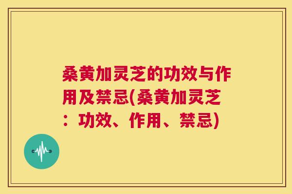 桑黄加灵芝的功效与作用及禁忌(桑黄加灵芝：功效、作用、禁忌)