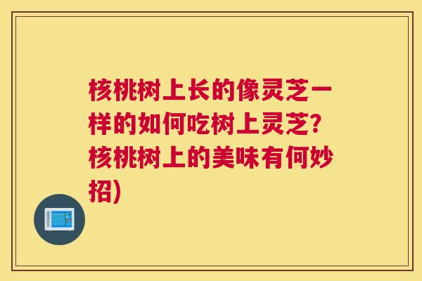 核桃树上长的像灵芝一样的如何吃树上灵芝？核桃树上的美味有何妙招)