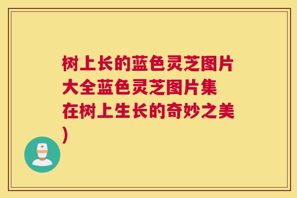 树上长的蓝色灵芝图片大全蓝色灵芝图片集 在树上生长的奇妙之美) 树上长的蓝色灵芝图片大全蓝色灵芝图片集 在树上生长的奇妙之美)