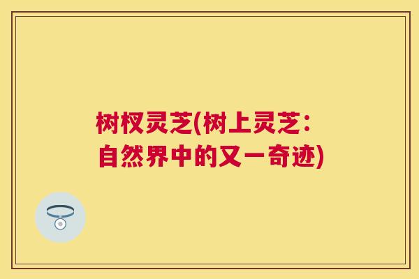 树杈灵芝(树上灵芝：自然界中的又一奇迹)