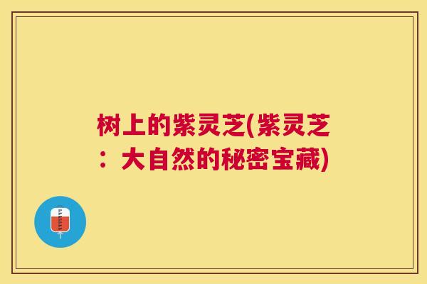 树上的紫灵芝(紫灵芝：大自然的秘密宝藏)