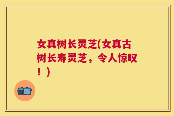 女真树长灵芝(女真古树长寿灵芝,令人惊叹!) 女真树长灵芝(女真古树长寿灵芝,令人惊叹!)