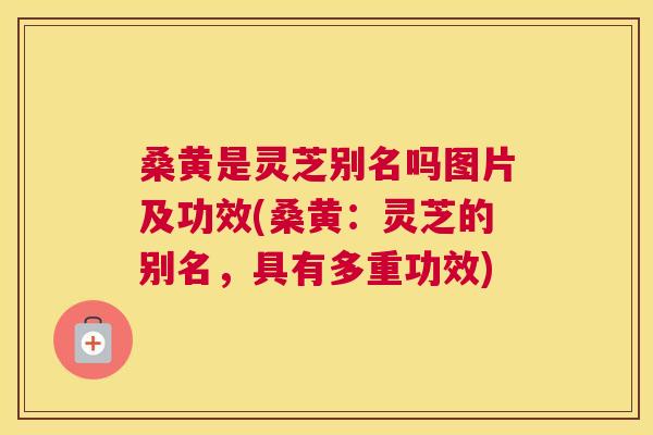 桑黄是灵芝别名吗图片及功效(桑黄：灵芝的别名，具有多重功效)