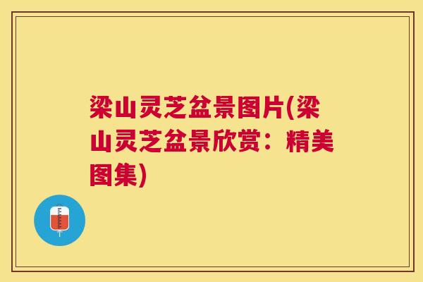 梁山灵芝盆景图片(梁山灵芝盆景欣赏:精美图集) 梁山灵芝盆景图片(梁山灵芝盆景欣赏:精美图集)