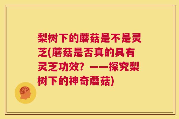 梨树下的蘑菇是不是灵芝(蘑菇是否真的具有灵芝功效?——探究梨树下的神奇蘑菇) 梨树下的蘑菇是不是灵芝(蘑菇是否真的具有灵芝功效?——探究梨树下的神奇蘑菇)