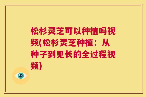 松杉灵芝可以种植吗视频(松杉灵芝种植：从种子到见长的全过程视频)