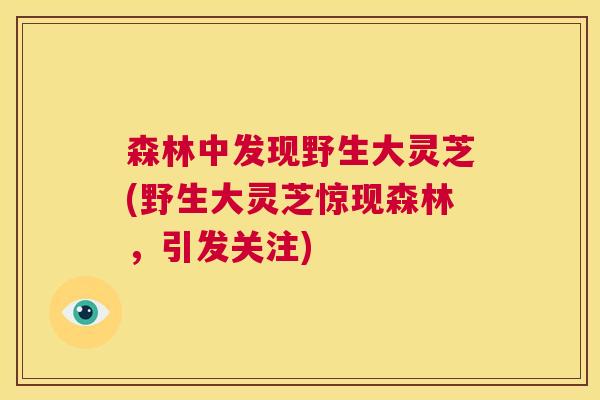 森林中发现野生大灵芝(野生大灵芝惊现森林，引发关注)