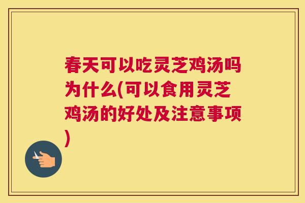 春天可以吃灵芝鸡汤吗为什么(可以食用灵芝鸡汤的好处及注意事项)
