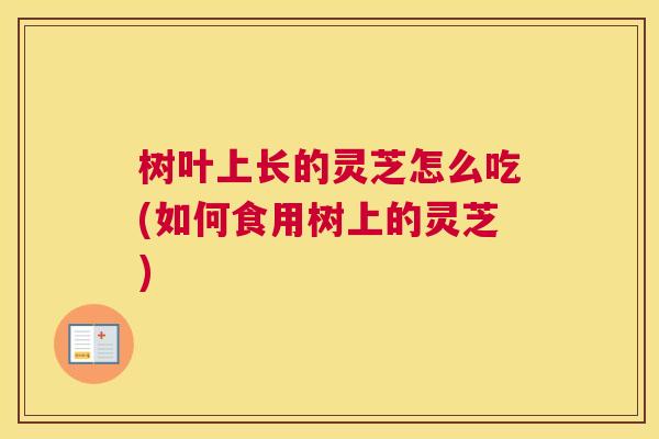 树叶上长的灵芝怎么吃(如何食用树上的灵芝)