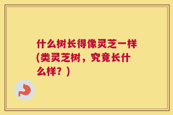什么树长得像灵芝一样(类灵芝树，究竟长什么样？)