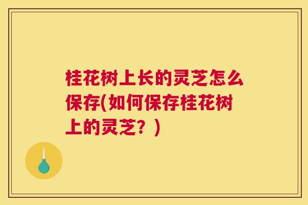 桂花树上长的灵芝怎么保存(如何保存桂花树上的灵芝？)